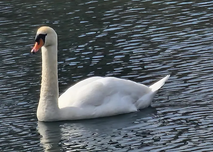 L'aixotique Apartment